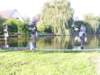 sh105794_small.jpg